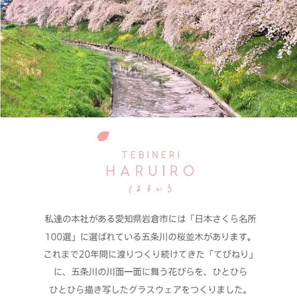 アデリア TEBINERI HARUIRO 泡づくりジョッキ 9549 1個 - Image 3