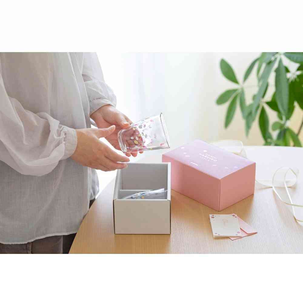 アデリア TEBINERI HARUIRO タンブラーペアセット 290ml×2個 - Image 3