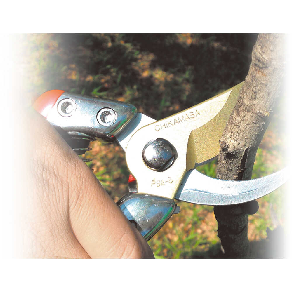 PSAG8 チカマサ ウルトラロッソG8 【直送品】 返品・キャンセル・他商品と同時購入は不可 - Image 2