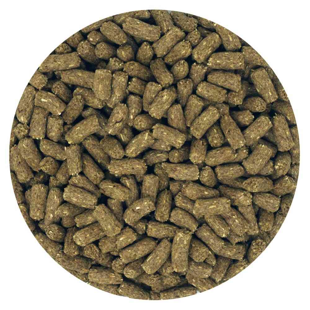 イースター 動物村ラビットシニア 2.2kg - Image 4
