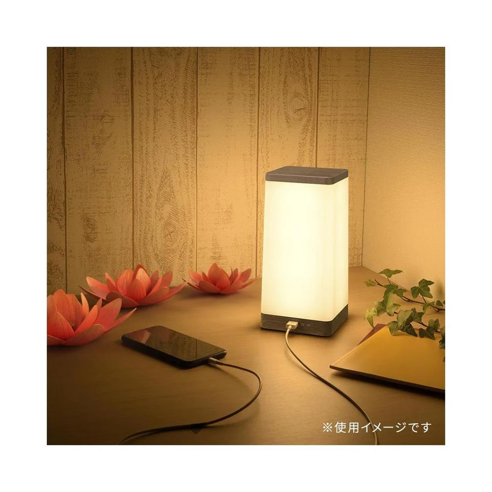 オーム電機 LEDタッチライト 電球色 - Image 6