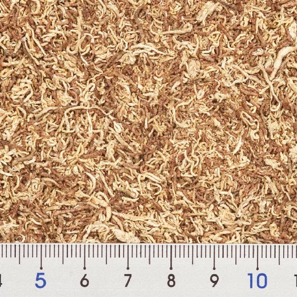 イトスイ 赤虫・糸ミミズミックスフード納豆菌 15g - Image 3
