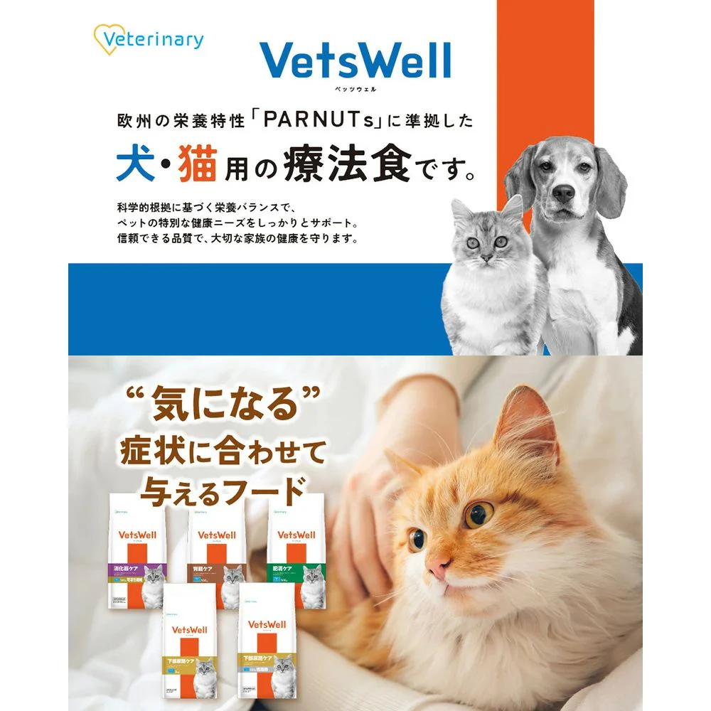 マルカン ベッツウェル 猫用療法食 消化器ケア可溶性繊維 2kg - Image 8