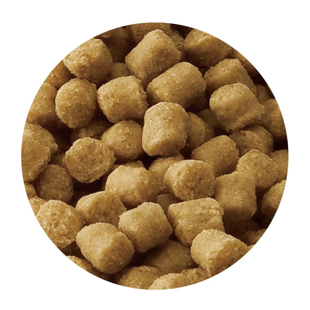 マルカン サンライズ スタイルズ チワワ用 10歳以上用 1.2kg - Image 3