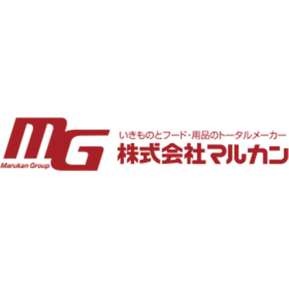 マルカン サンライズ ゴン太のカミング 骨型ガム Lサイズ 1本 - Image 3