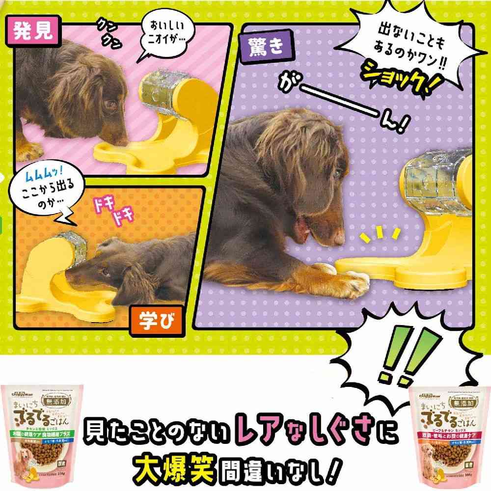 ドギーマン わんこの自飯器 スターターセット 1セット - Image 4