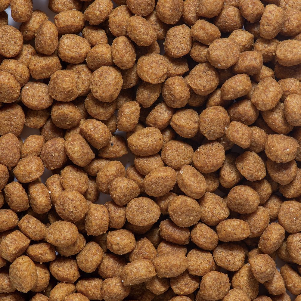ドギーマンハヤシ まいにちでるでるごはん 皮膚・被毛とお腹の健康ケア 200g - Image 2