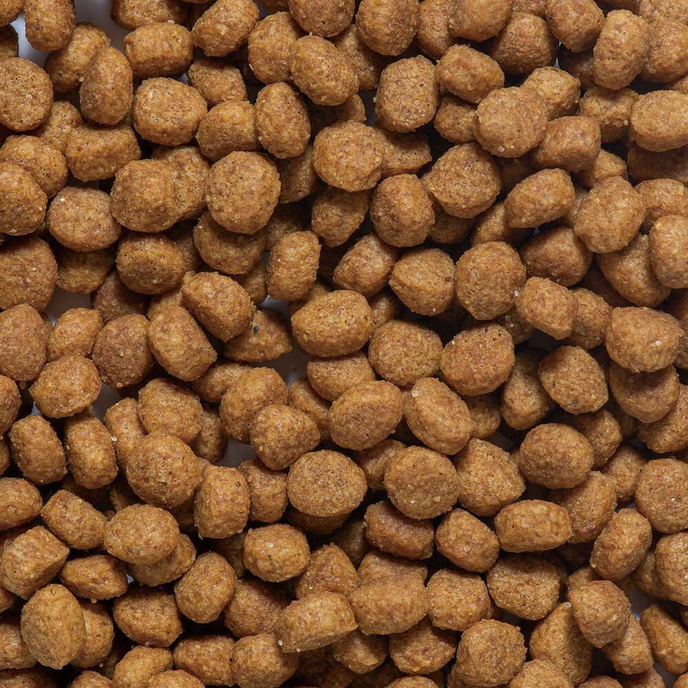 ドギーマンハヤシ まいにちでるでるごはん 皮膚・被毛とお腹の健康ケア 200g - Image 4