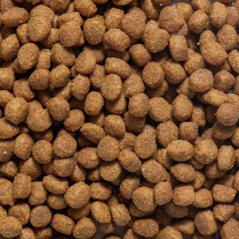 ドギーマンハヤシ まいにちでるでるごはん お腹の健康ケア 食物繊維プラス 200g - Image 4