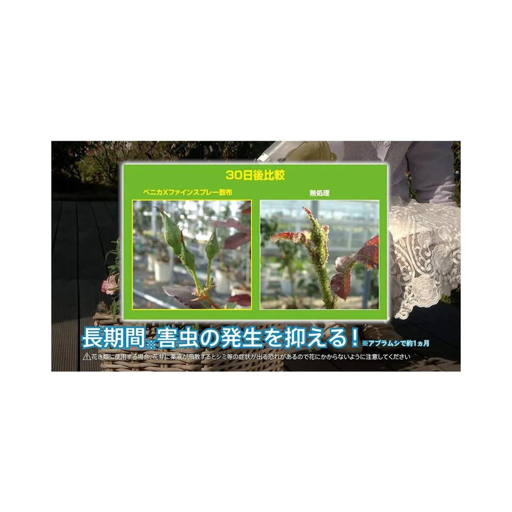 【農薬】住友化学園芸 ベニカXファインスプレー 420ml - Image 6