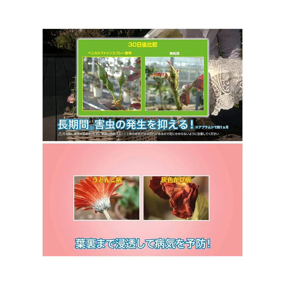 【農薬】住友化学園芸 ベニカXファインスプレー 420ml - Image 8