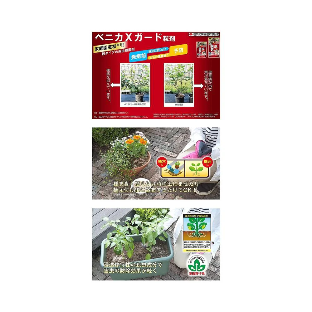 【農薬】住友化学園芸 ベニカXガード 粒剤 ２５０ｇ - Image 3