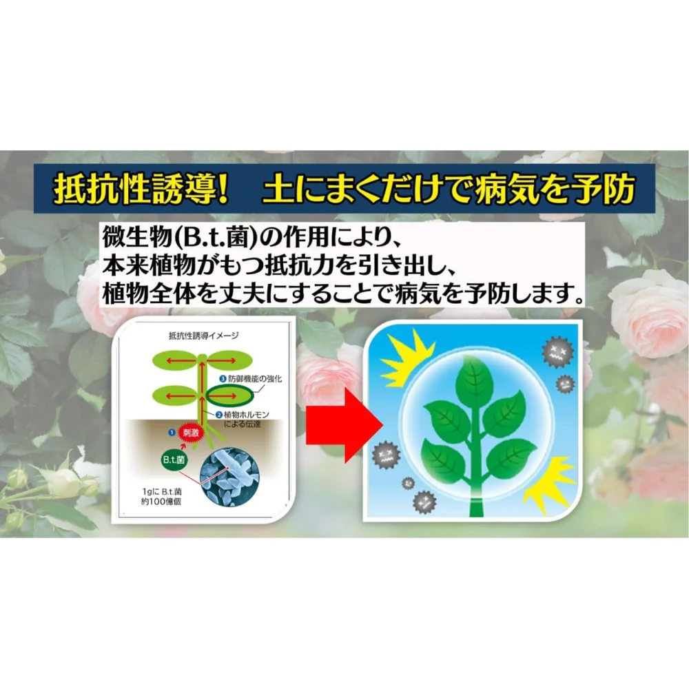 (農)住友化学園芸 マイローズ ベニカBT殺菌粒剤 500g - Image 5