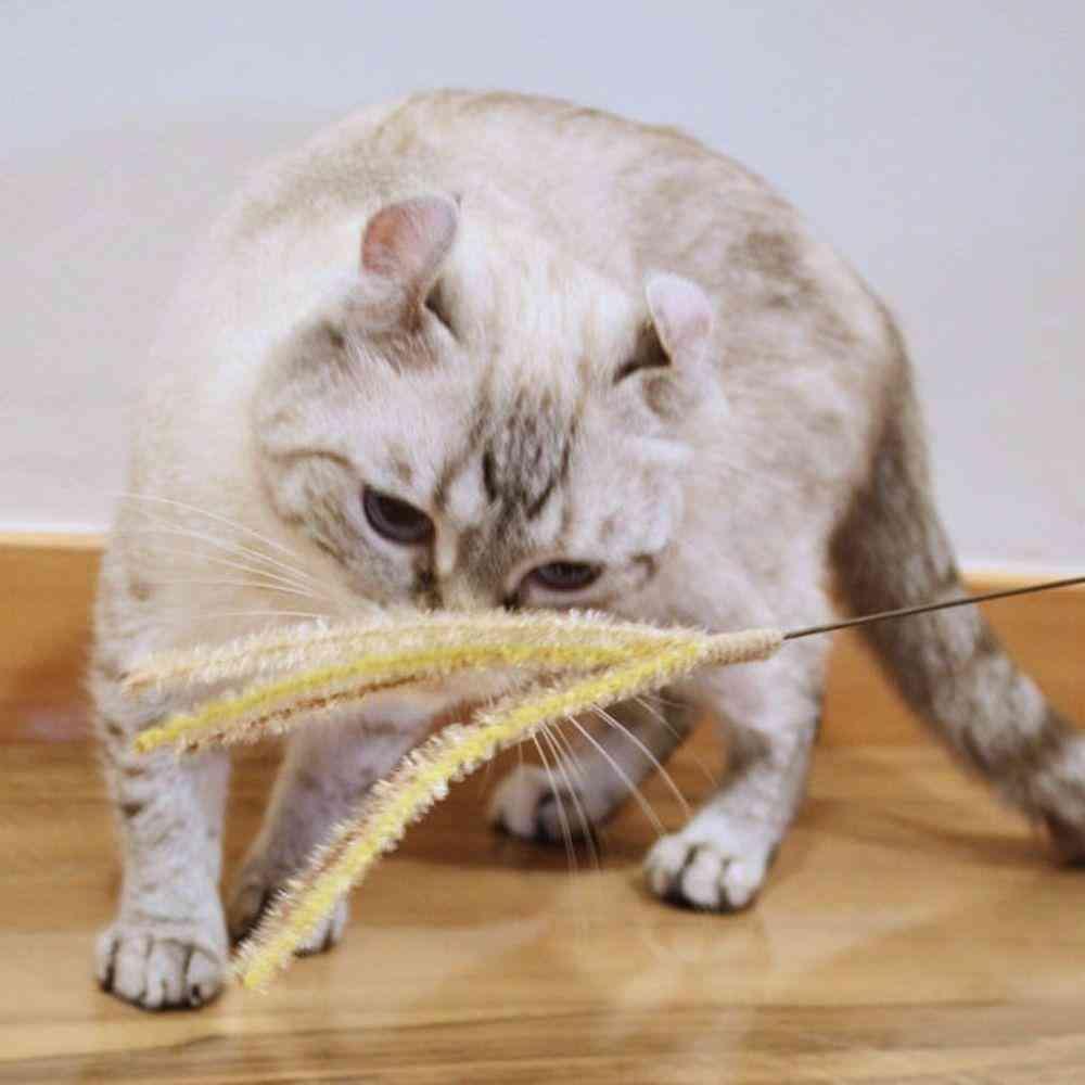 ドギーマン じゃれ猫 猫のお遊び ススキ草 1本 - Image 2
