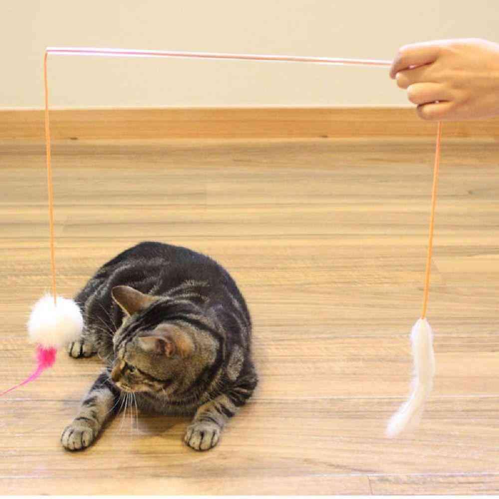 ドギーマン じゃれ猫 ふりふり三まい ワルツ 1個 - Image 5