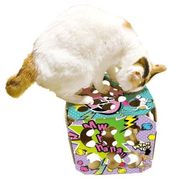 猫ちゃんテンション爆アゲBOX - Image 2