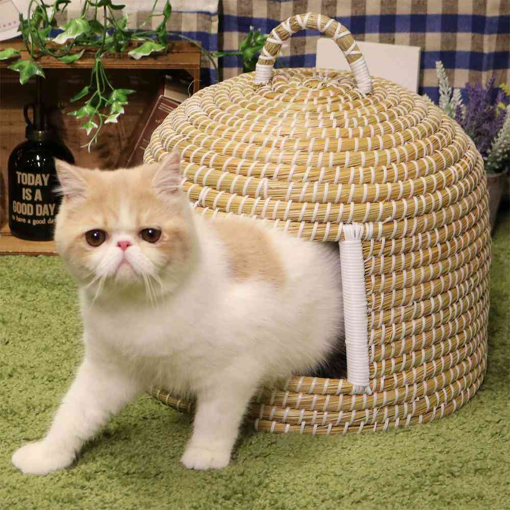 にゃんこのちぐら 夢 【直送品】 返品・キャンセル・他商品と同時購入は不可 - Image 5