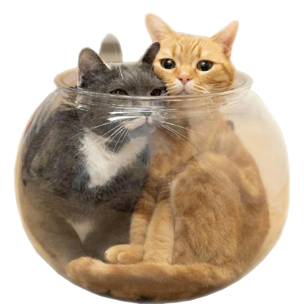 Lサイズのおっきなにゃんこの金魚鉢 【直送品】 返品・キャンセル・他商品と同時購入は不可 - Image 2