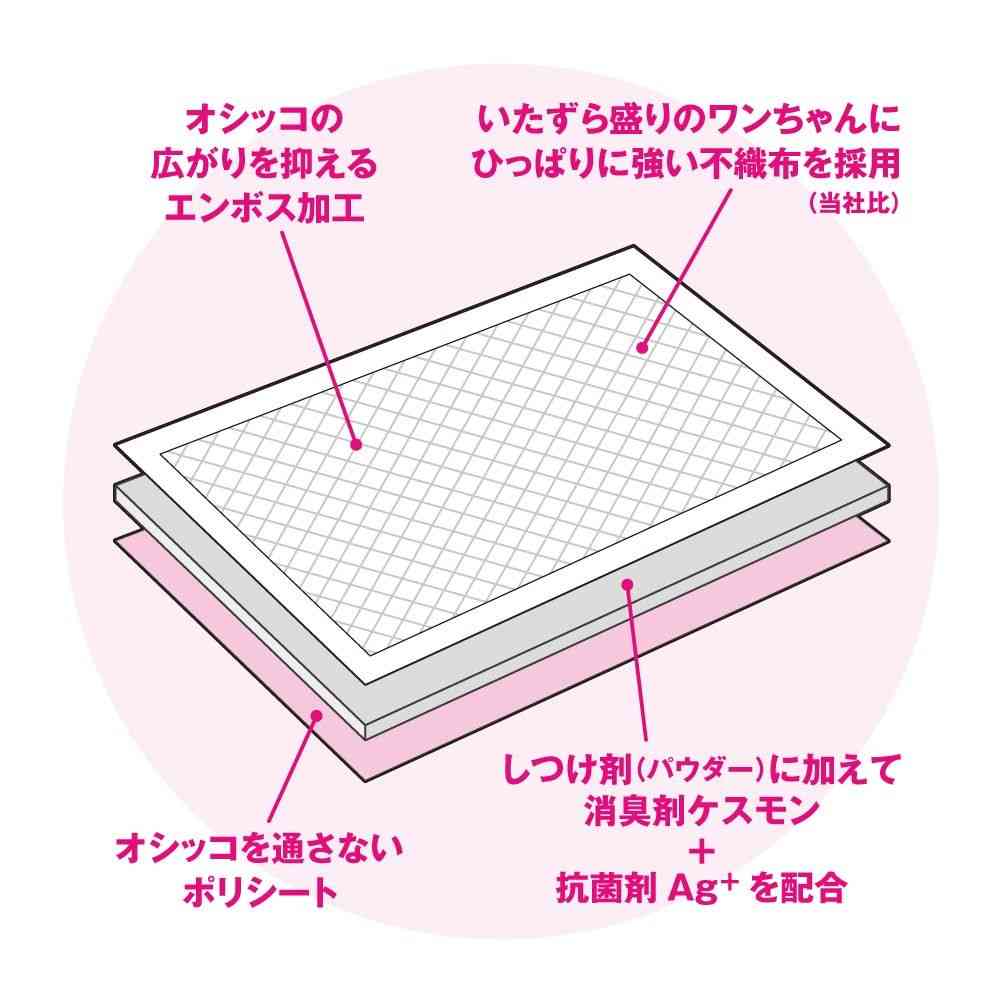 ボンビアルコン しつけるシーツ幼犬用neo レギュラー 40枚入り - Image 4