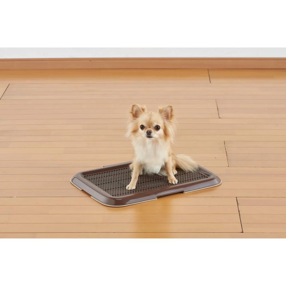 薄型しつけるトレーS ブラウン 【直送品】 返品・キャンセル・他商品と同時購入は不可 - Image 2