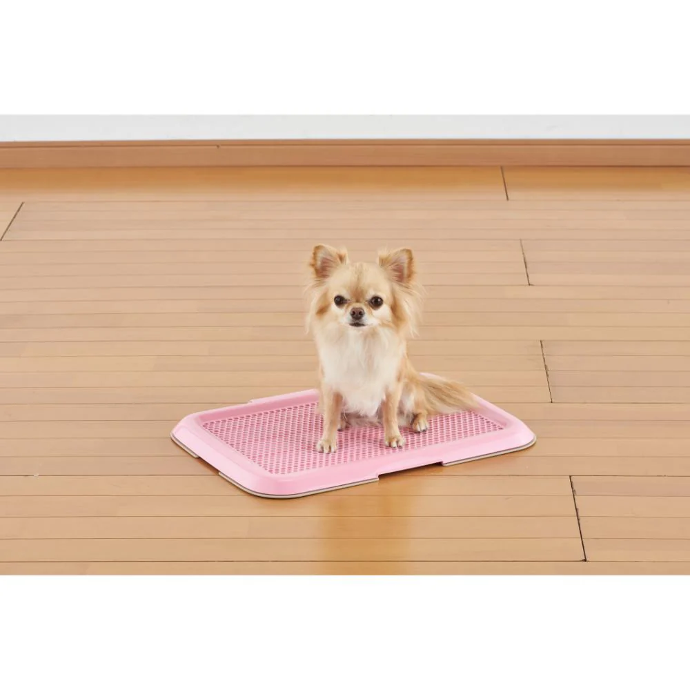 薄型しつけるトレーS ピンク 【直送品】 返品・キャンセル・他商品と同時購入は不可 - Image 3