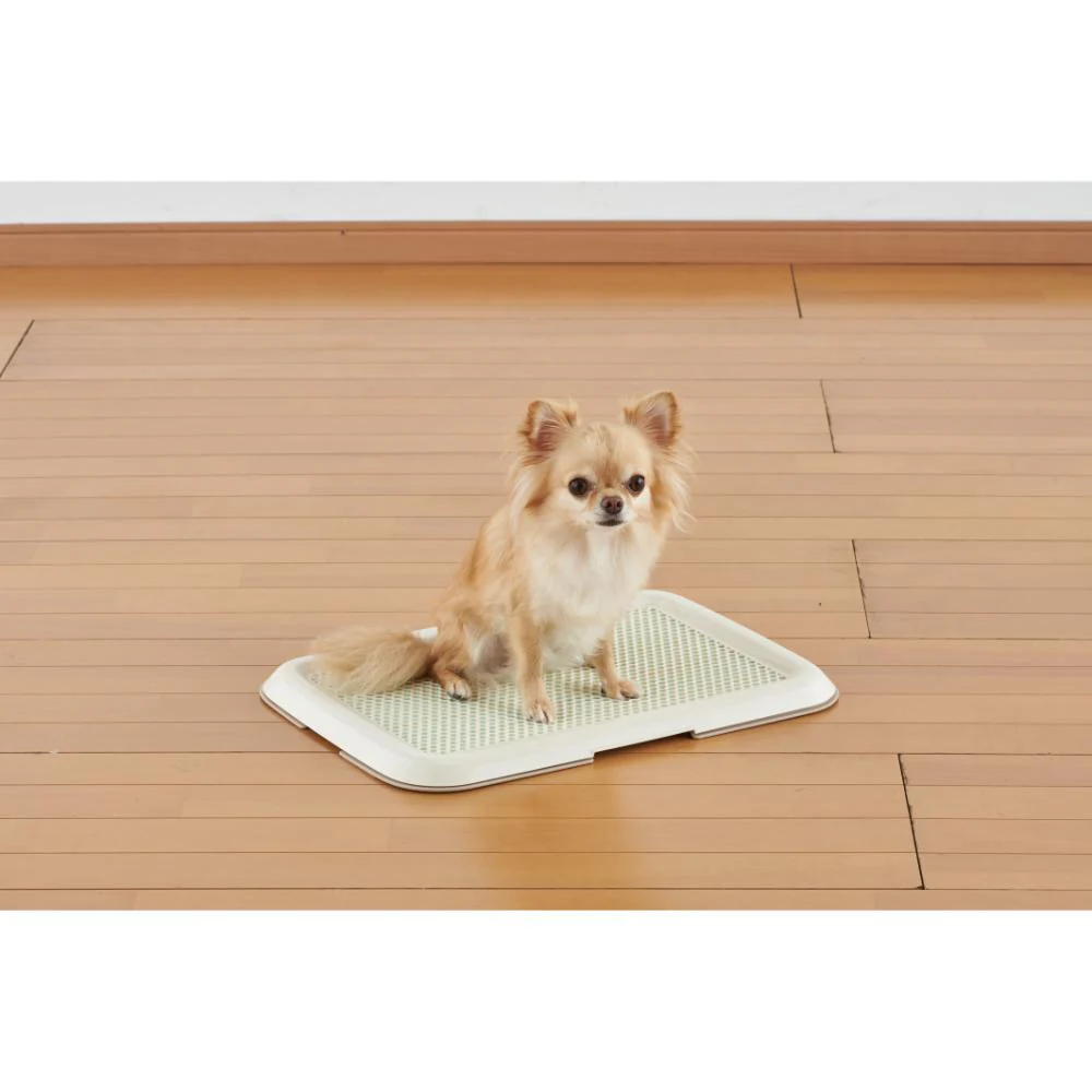 薄型しつけるトレーS アイボリー 【直送品】 返品・キャンセル・他商品と同時購入は不可 - Image 3