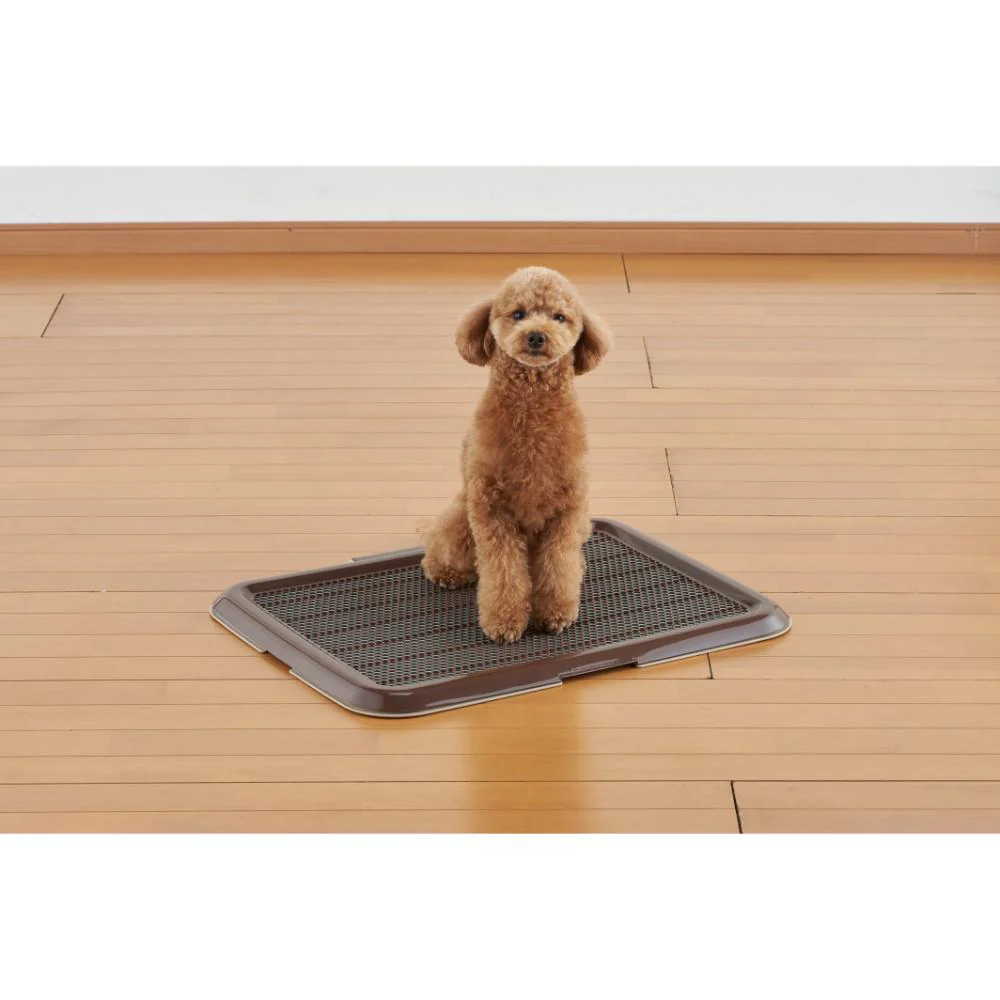 薄型しつけるトレーM ブウラン 【直送品】 返品・キャンセル・他商品と同時購入は不可 - Image 3