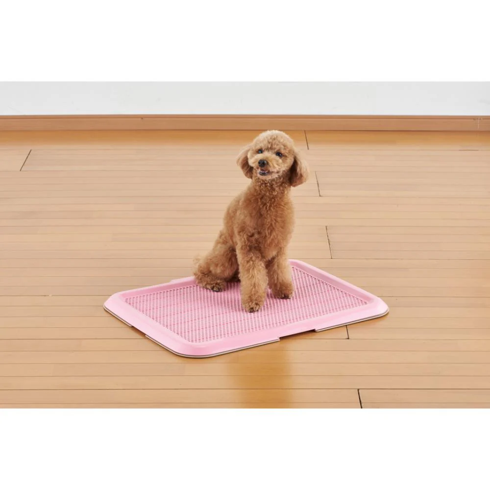 薄型しつけるトレーM ピンク 【直送品】 返品・キャンセル・他商品と同時購入は不可 - Image 3