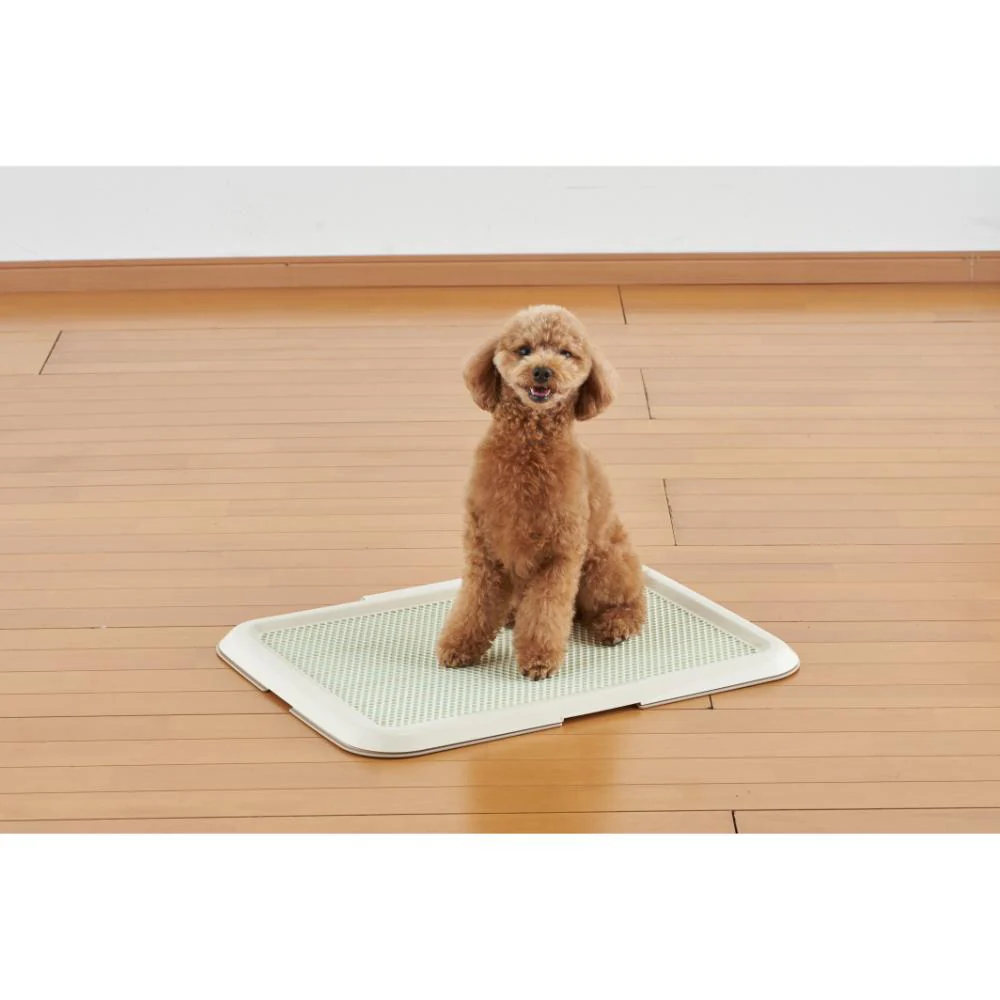 薄型しつけるトレーM アイボリー 【直送品】 返品・キャンセル・他商品と同時購入は不可 - Image 3