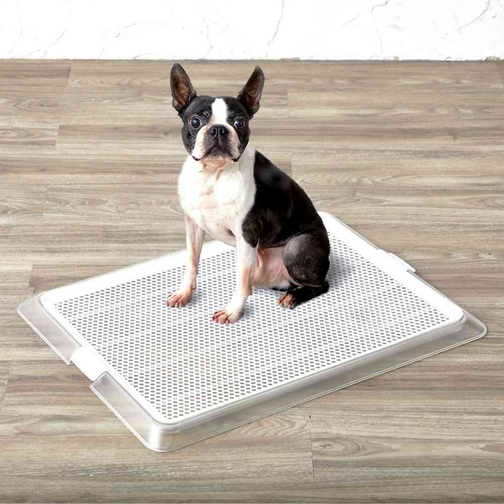 ペットレー クリアメッシュ M 【直送品】 返品・キャンセル・他商品と同時購入は不可 - Image 2