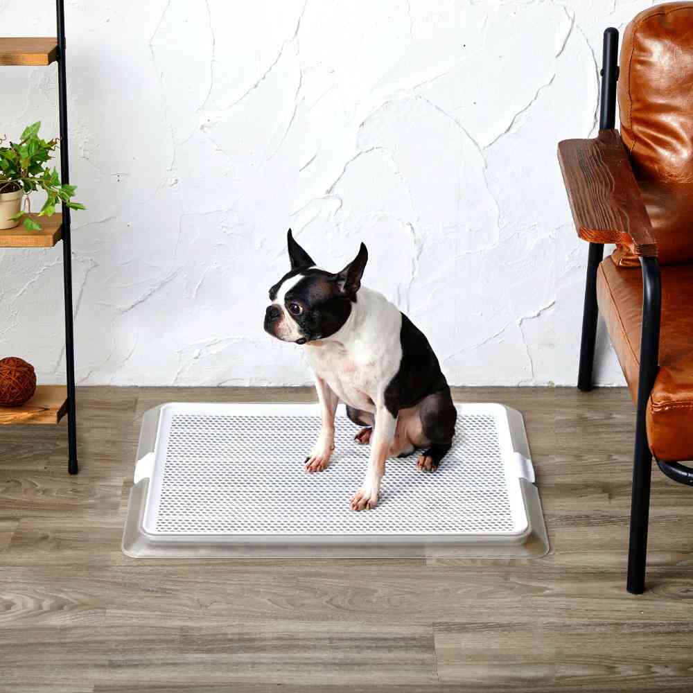 ペットレー クリアメッシュ M 【直送品】 返品・キャンセル・他商品と同時購入は不可 - Image 3