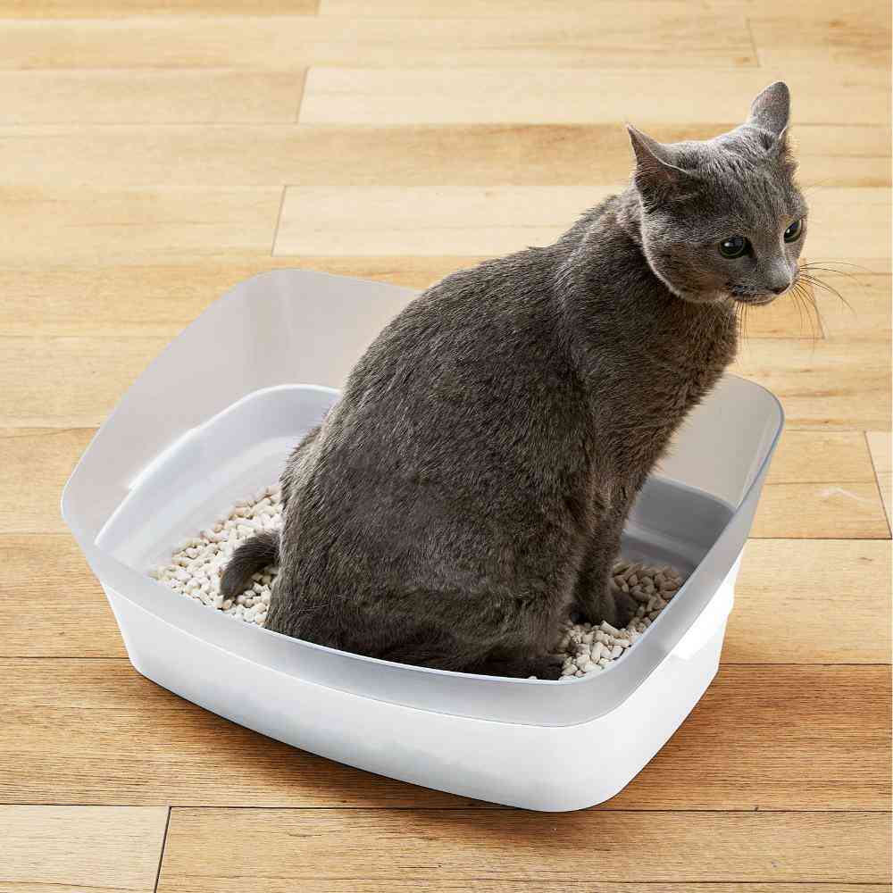しつけるトイレ クリアキャット S 【直送品】 返品・キャンセル・他商品と同時購入は不可 - Image 3