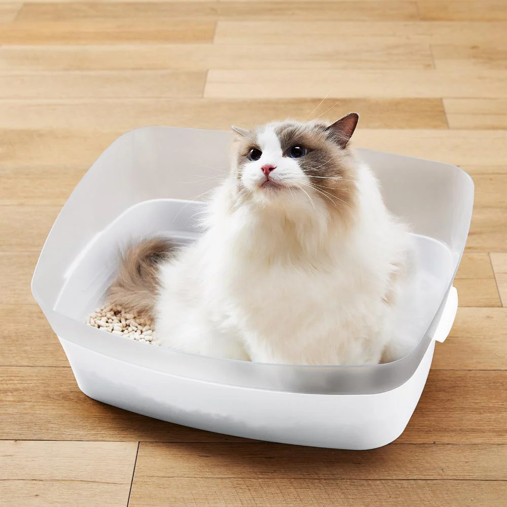 しつけるトイレ クリアキャット M 【直送品】 返品・キャンセル・他商品と同時購入は不可 - Image 5