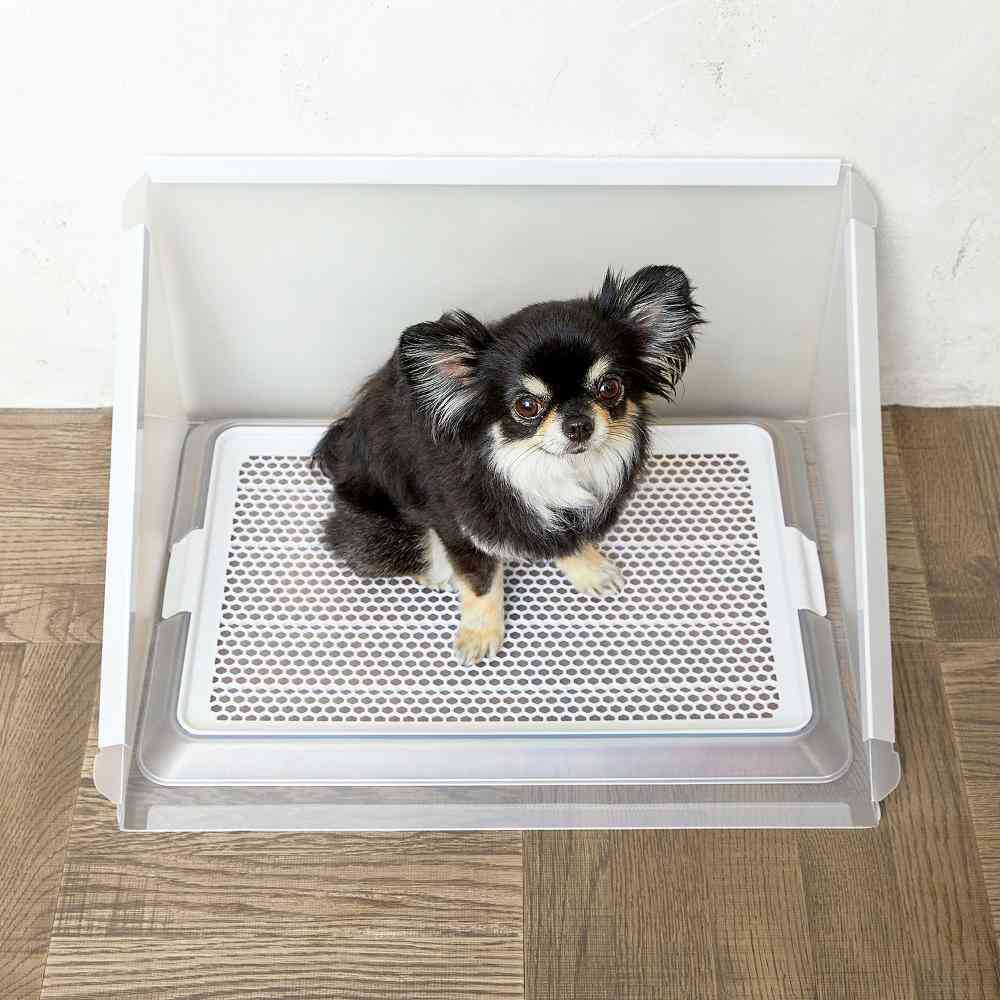 プラスクリーン Sサイズ 【直送品】 返品・キャンセル・他商品と同時購入は不可 - Image 6