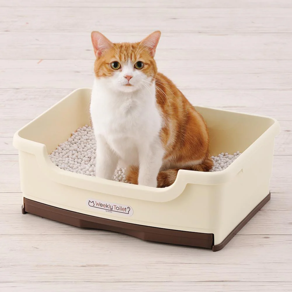 ウィークリートイレ しつける3点セット オフホワイト 【直送品】 返品・キャンセル・他商品と同時購入は不可 - Image 3
