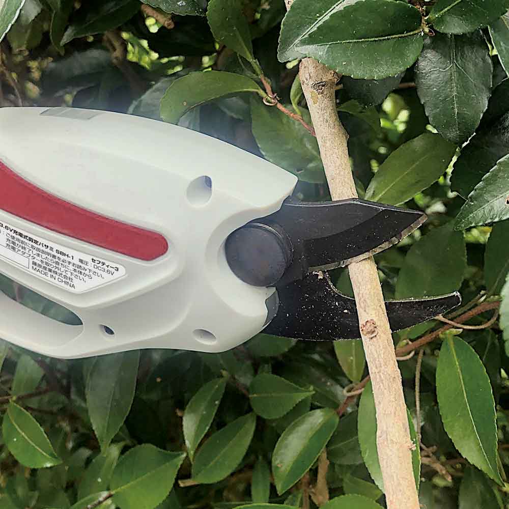 充電式剪定バサミ SBH-1 【直送品】 返品・キャンセル・他商品と同時購入は不可 - Image 5