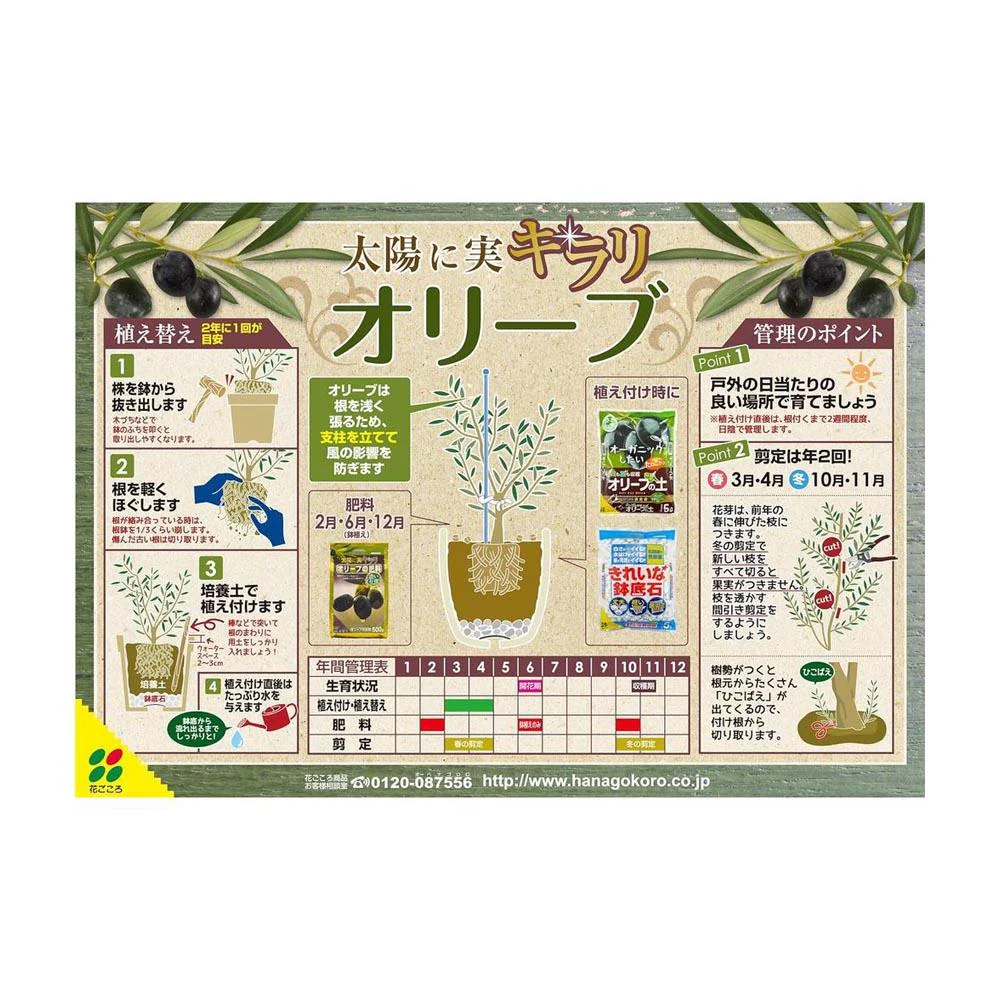 花ごころ オリーブの土 12L - Image 4