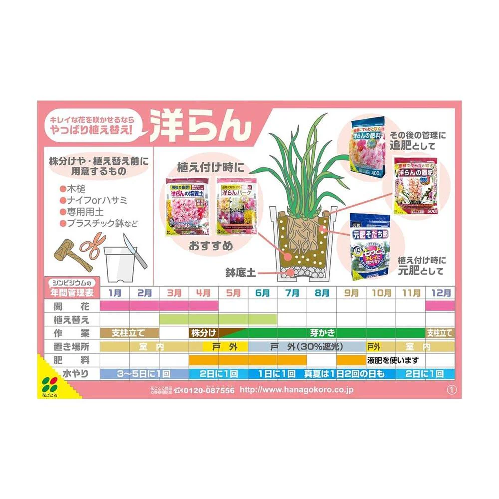 花ごころ 洋らんバーク 5L - Image 4