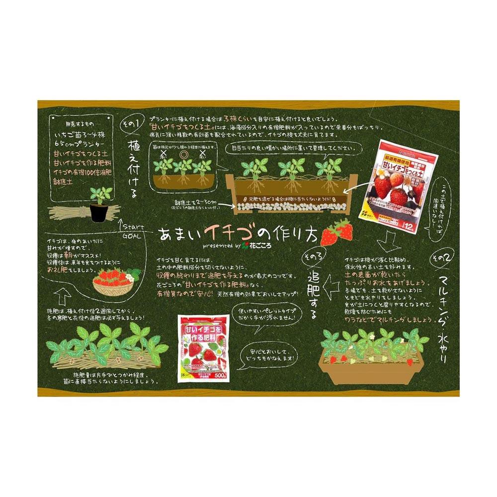 花ごころ 甘いイチゴをつくる土 5L - Image 4
