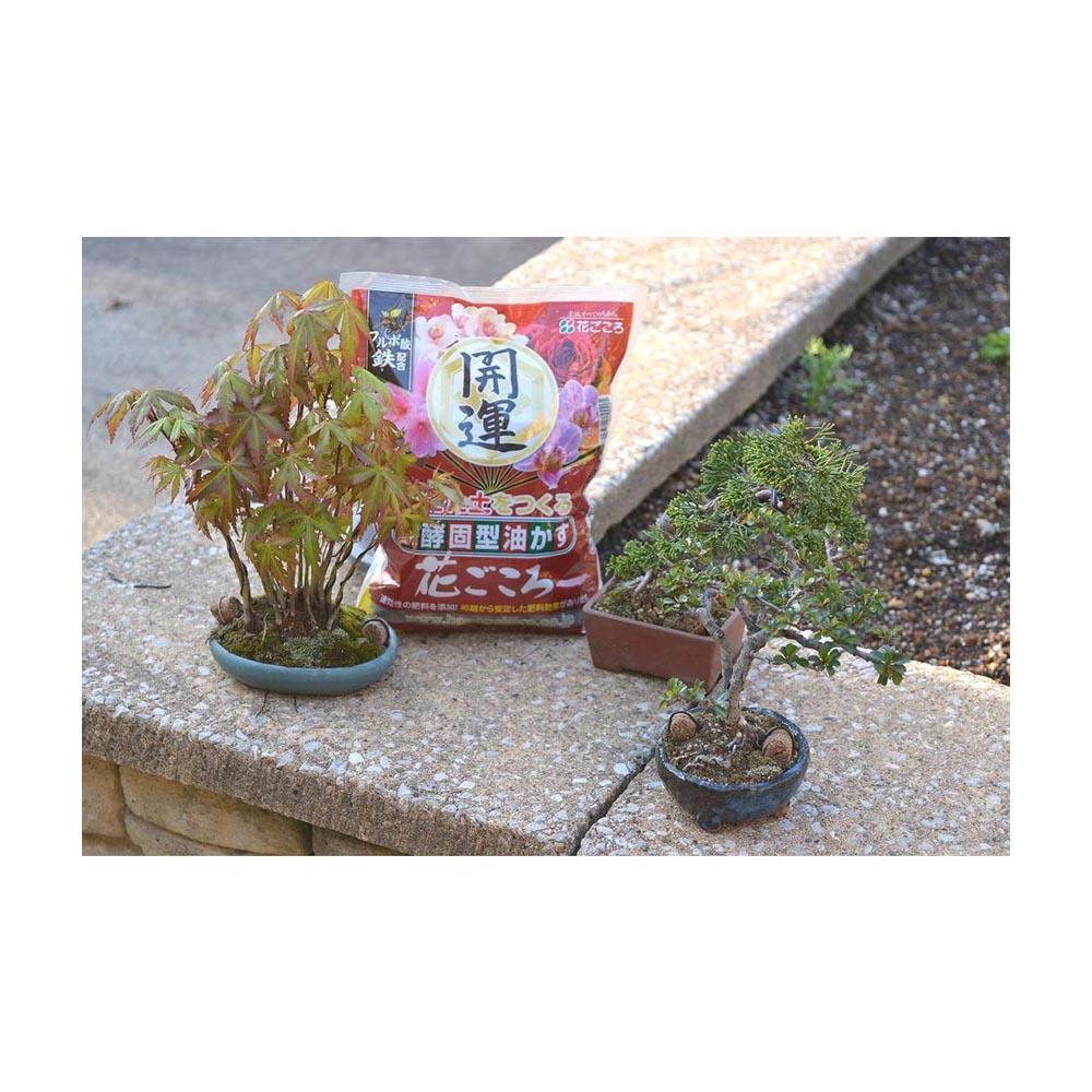 花ごころ 花ごころ 油かす開運 中粒 1.8kg - Image 4