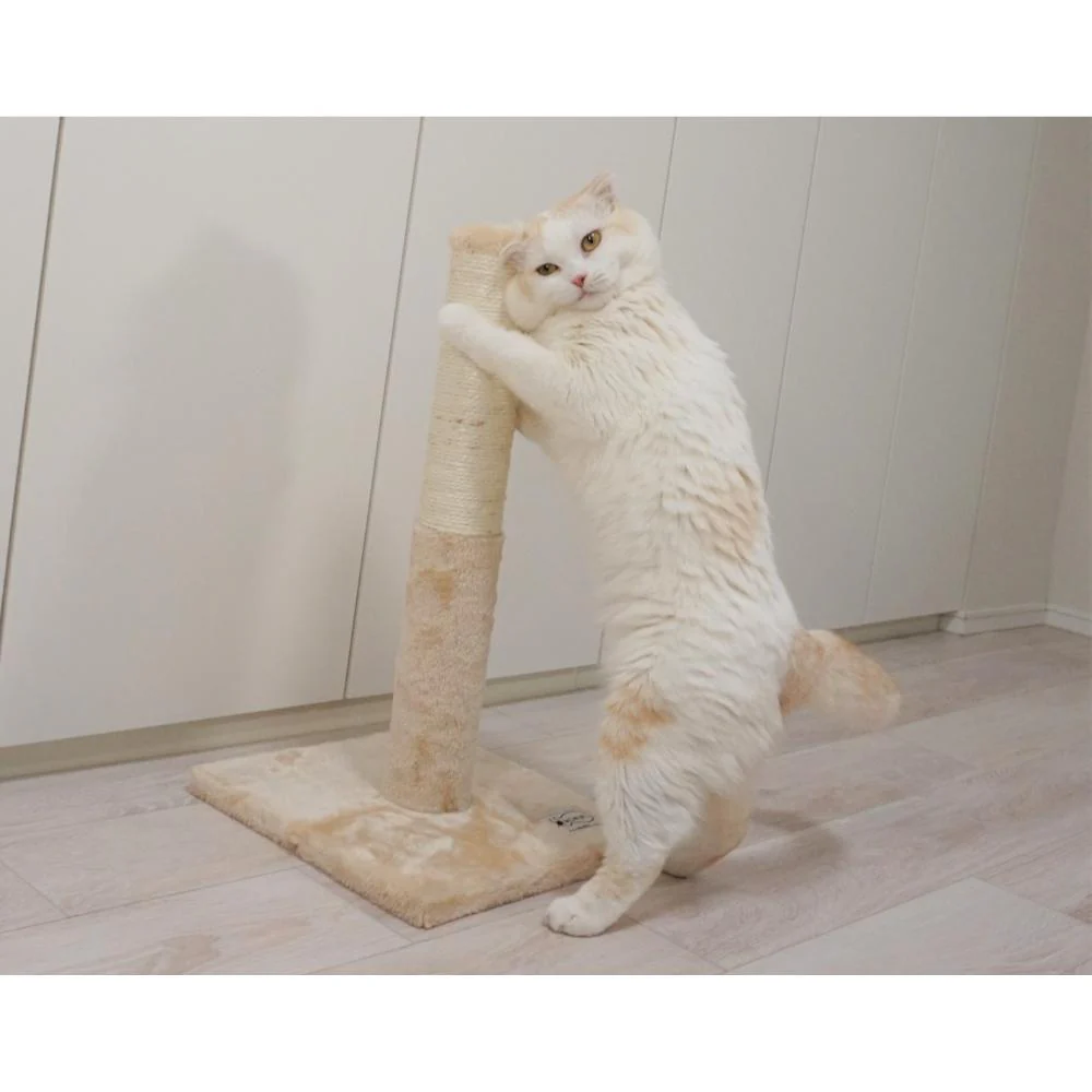 ねこがくれ ねこちゃん大好き爪とぎ キャットタワー ポール 【直送品】 返品・キャンセル・他商品と同時購入は不可 - Image 7