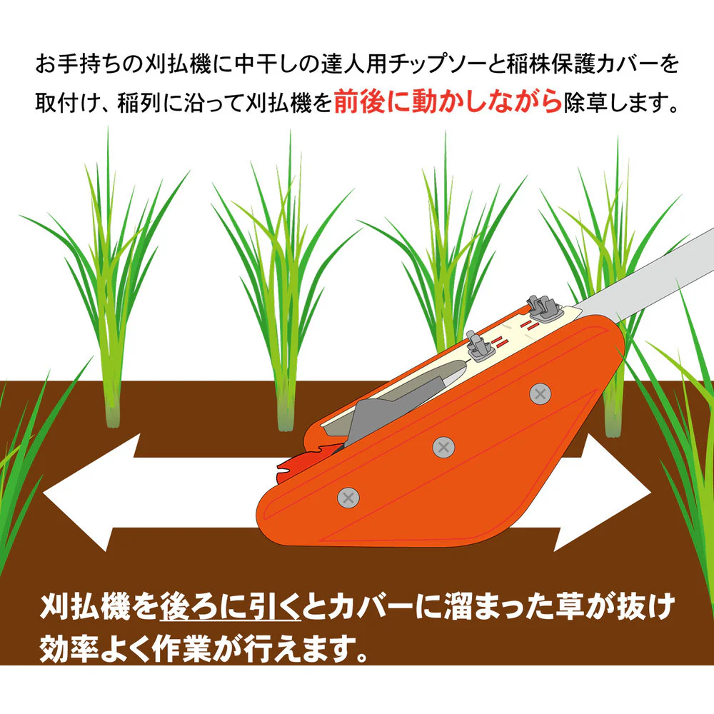 中干しの達人 845 【直送品】 返品・キャンセル・他商品と同時購入は不可 - Image 6