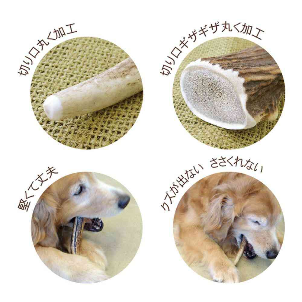 ベニソンアントラー M 【直送品】 返品・キャンセル・他商品と同時購入は不可 - Image 3