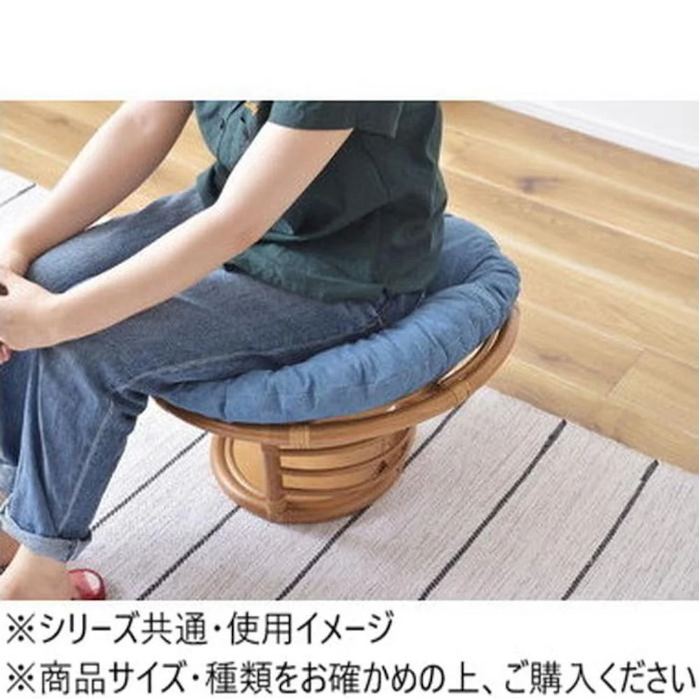 東谷 ペットスツール PET-64 【直送品】 返品・キャンセル・他商品と同時購入は不可 - Image 4