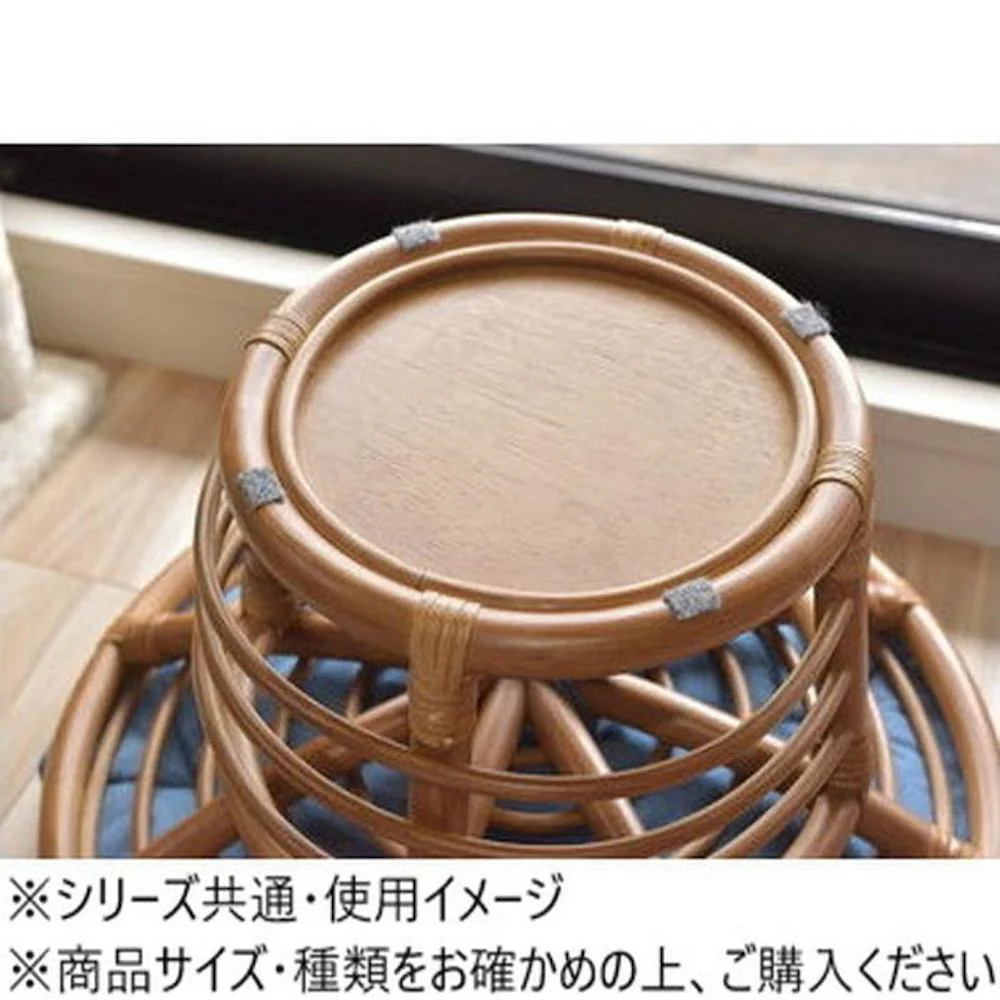 東谷 ペットスツール PET-64 【直送品】 返品・キャンセル・他商品と同時購入は不可 - Image 6