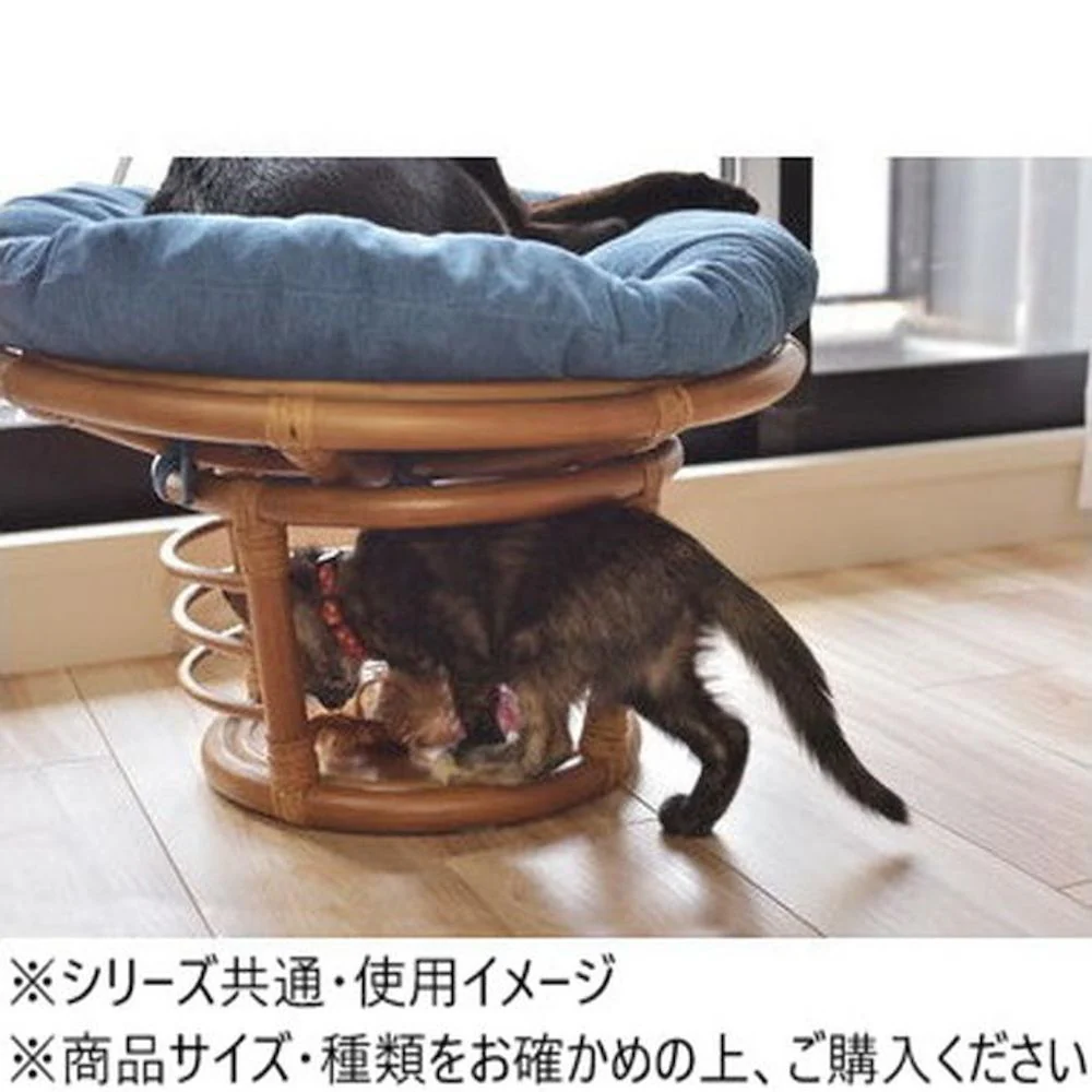 東谷 ペットスツール PET-64 【直送品】 返品・キャンセル・他商品と同時購入は不可 - Image 7