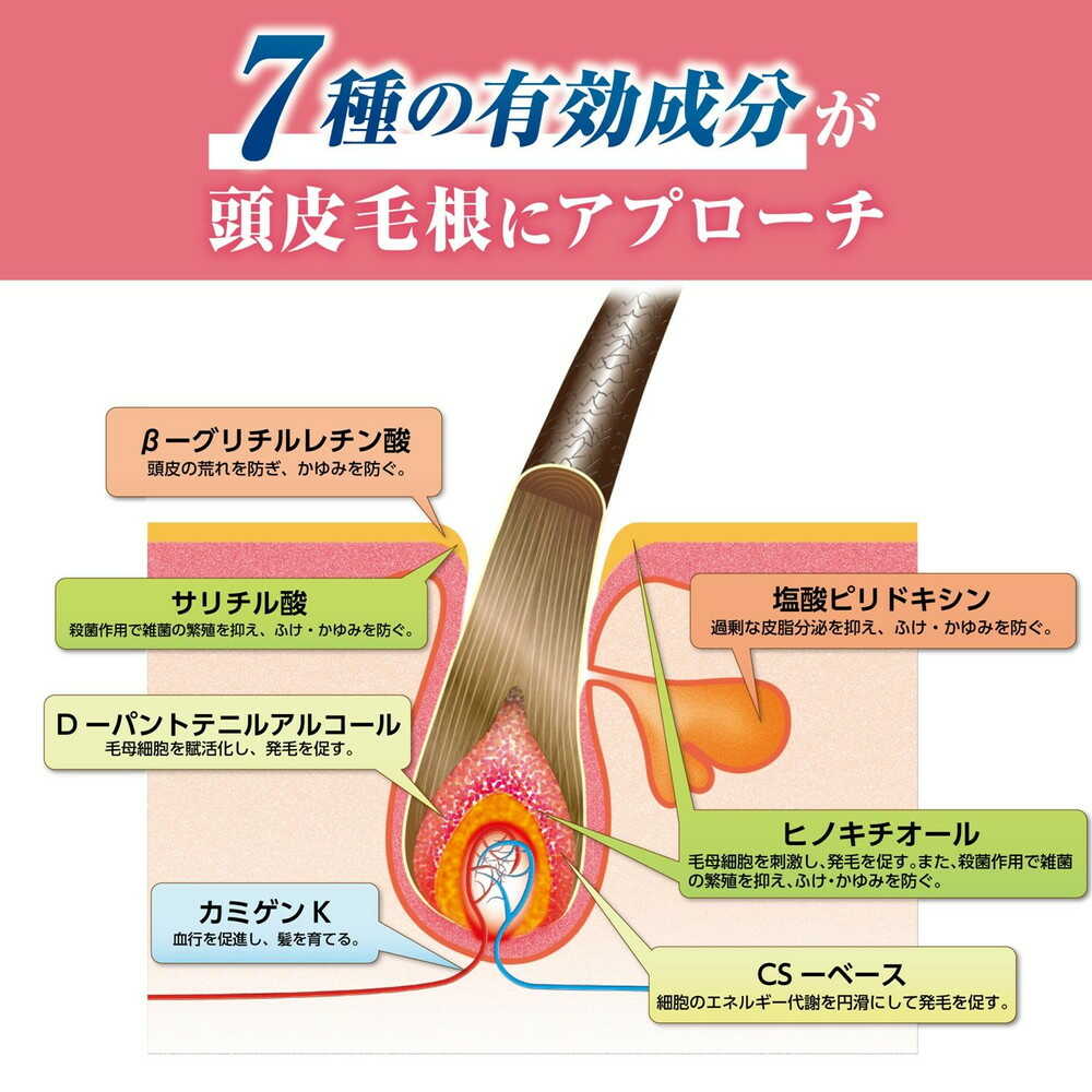 【医薬部外品】加美乃素本舗 薬用レディース加美乃素EX 無香料 150ml - Image 4
