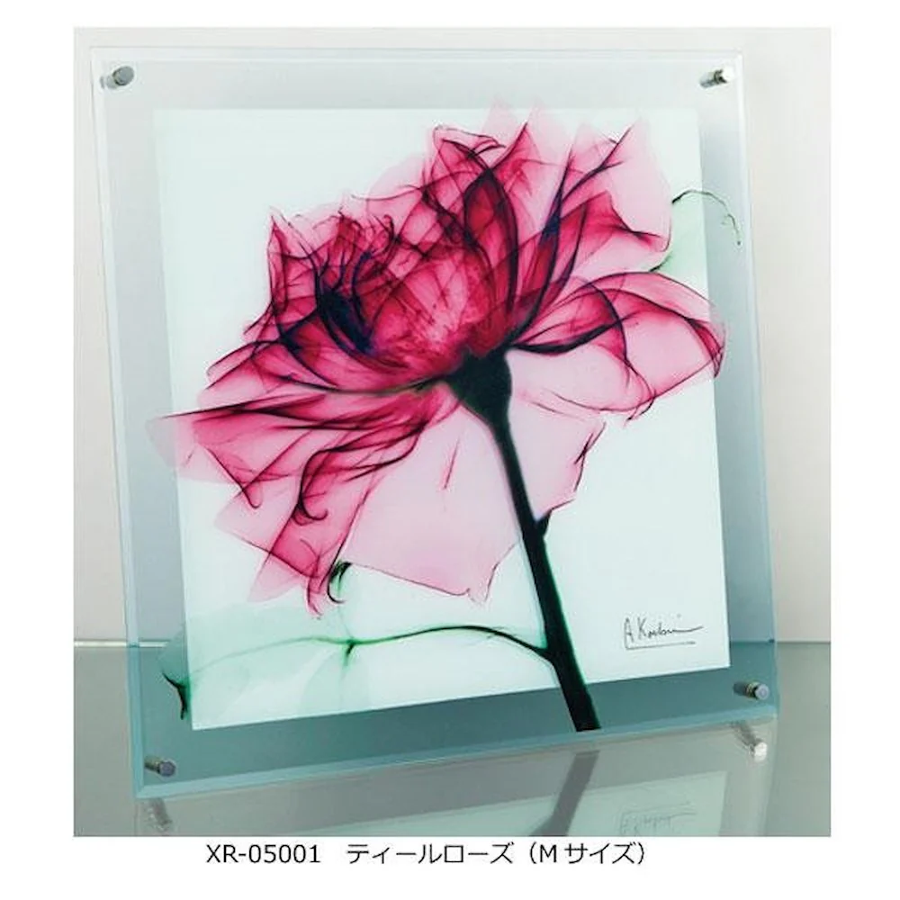 X RAY ガラス アート ティール ローズ Mサイズ 【直送品】 返品・キャンセル・他商品と同時購入は不可 - Image 4