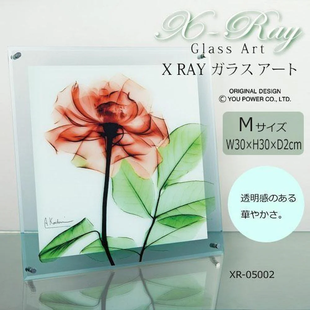 X RAY ガラス アート ローズ Mサイズ XR-05002 【直送品】 返品・キャンセル・他商品と同時購入は不可 - Image 2
