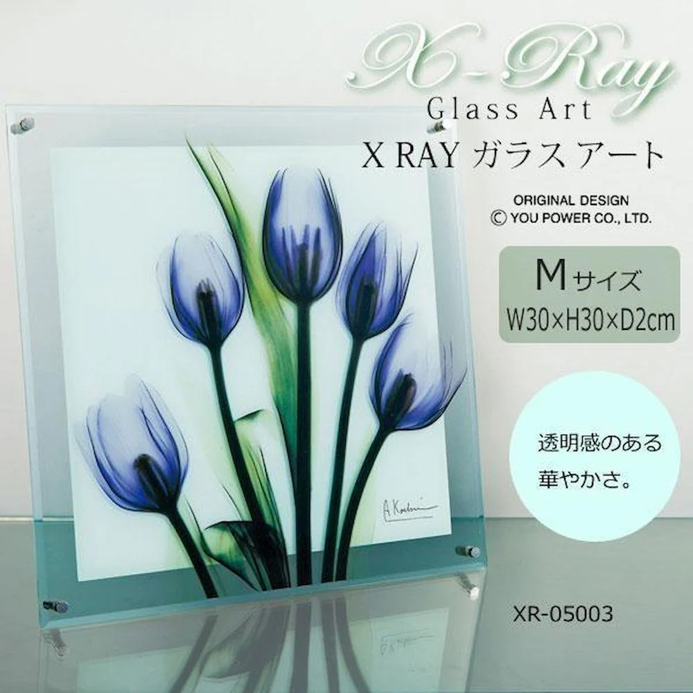 X RAY ガラス アート チューリップ イマジン Mサイズ 【直送品】 返品・キャンセル・他商品と同時購入は不可 - Image 2